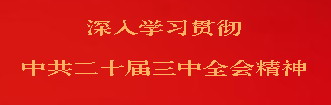 深入學習貫徹中共二十屆三中全會精神